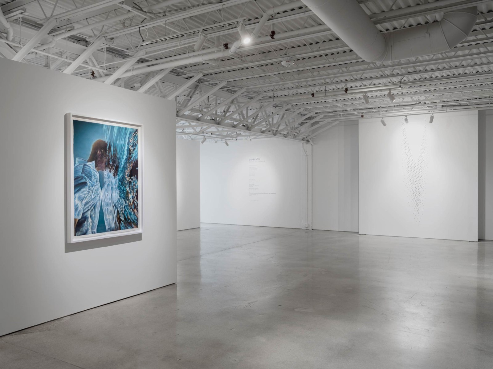 CURRENTS:&nbsp;Heidi Bucher, Dominic Chambers, Teresita Fern&aacute;ndez, Liza Lou, Marilyn Minter, Catherine Opie, Calida Rawles, and Robin Rhode, Installation view