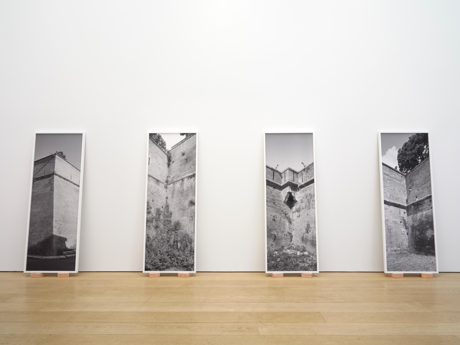 Catherine Opie: Walls, Windows and Blood, Installation view