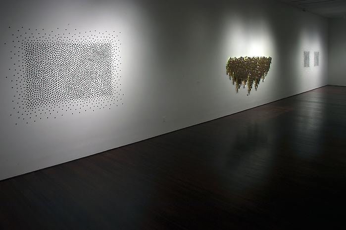 Teresita Fern&aacute;ndez Installation at the Blanton Museum of Art, 2009