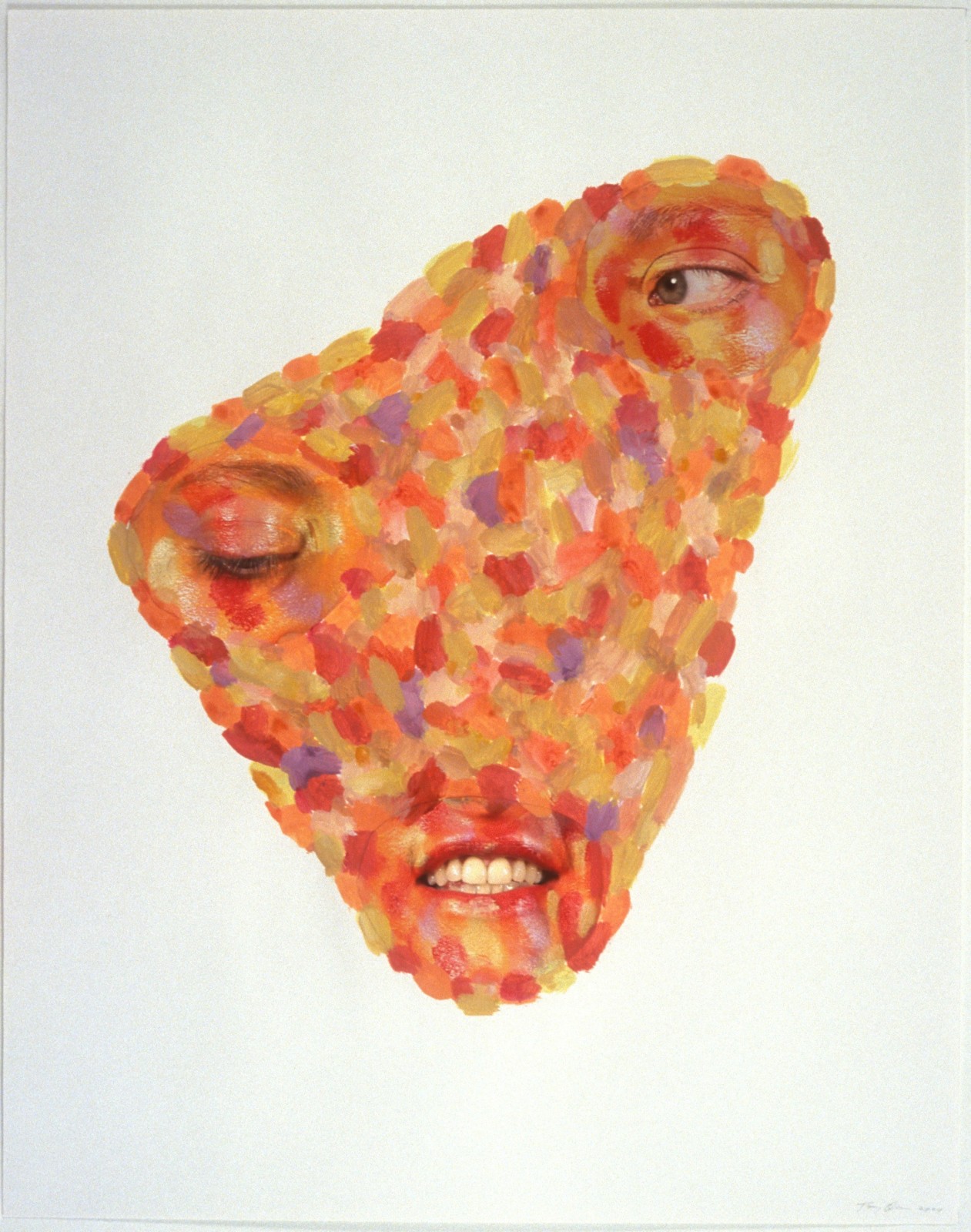 TONY OURSLER, Syn, 2004