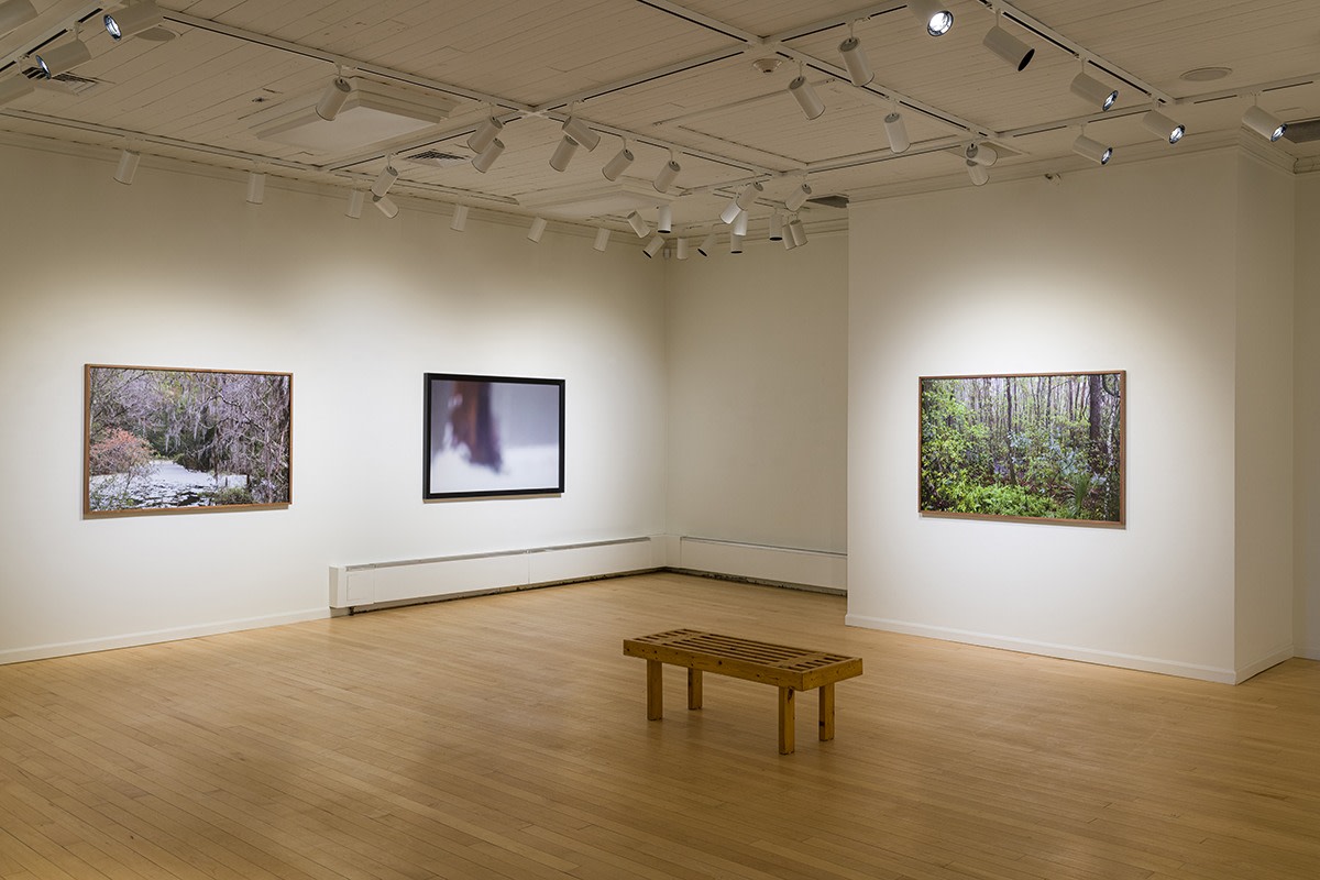 Catherine Opie, Installation View