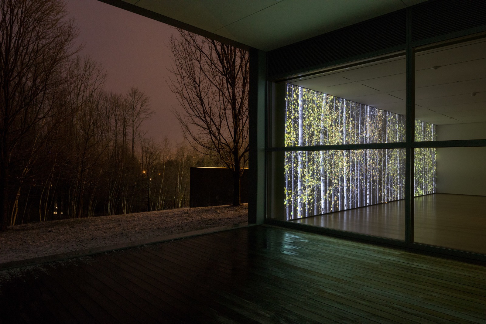 Jennifer Steinkamp:&nbsp;Blind Eye, Installation view, The Clark Art Institute, Williamstown, MA