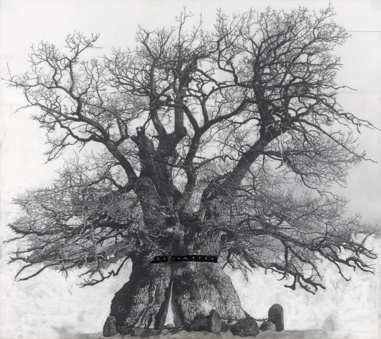 PATRICK VAN CAECKENBERGH, Drawing of Old Trees during wintry days 2007-2014, 2007-2014