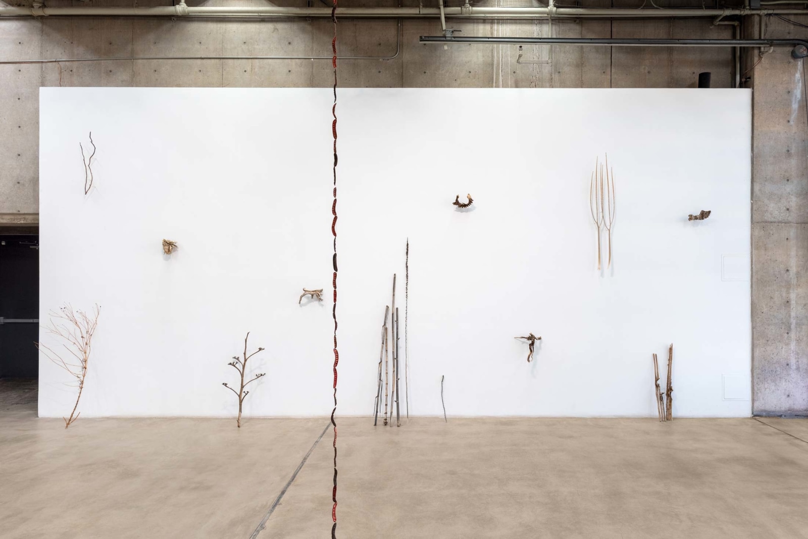 Cecilia Vicu&ntilde;a: Sonoran Quipu&nbsp;, Installation View