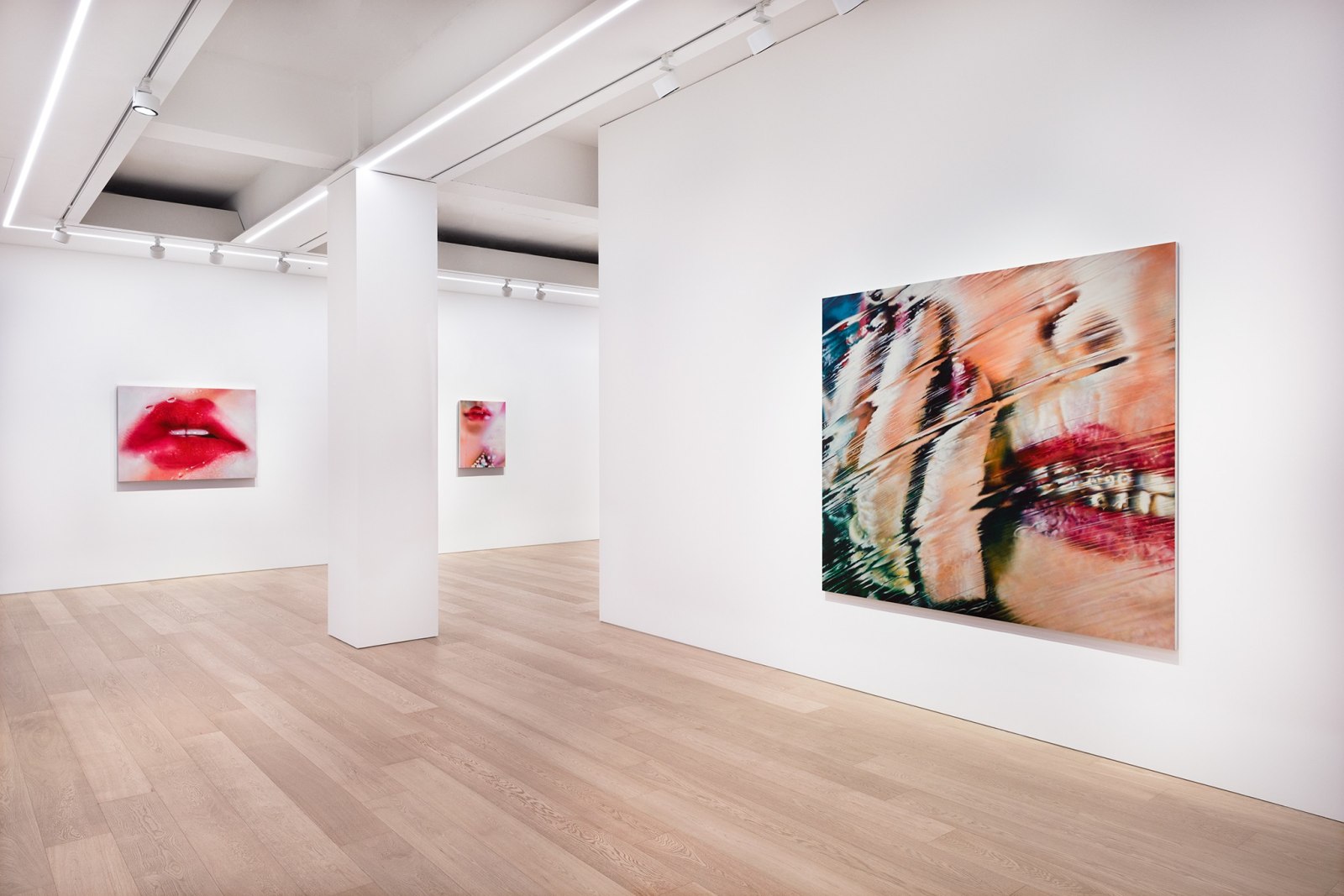 Marilyn Minter, Installation View