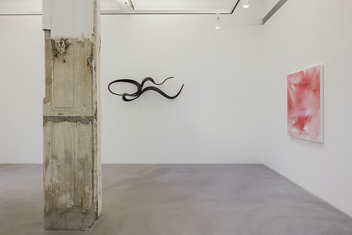 Shirazeh Houshiary: Through Mist Installation view 6