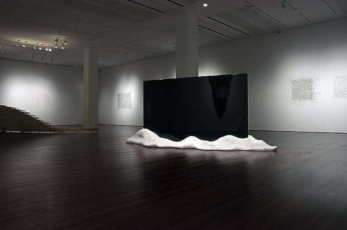 Teresita Fern&aacute;ndez Installation at the Blanton Museum of Art, 2009