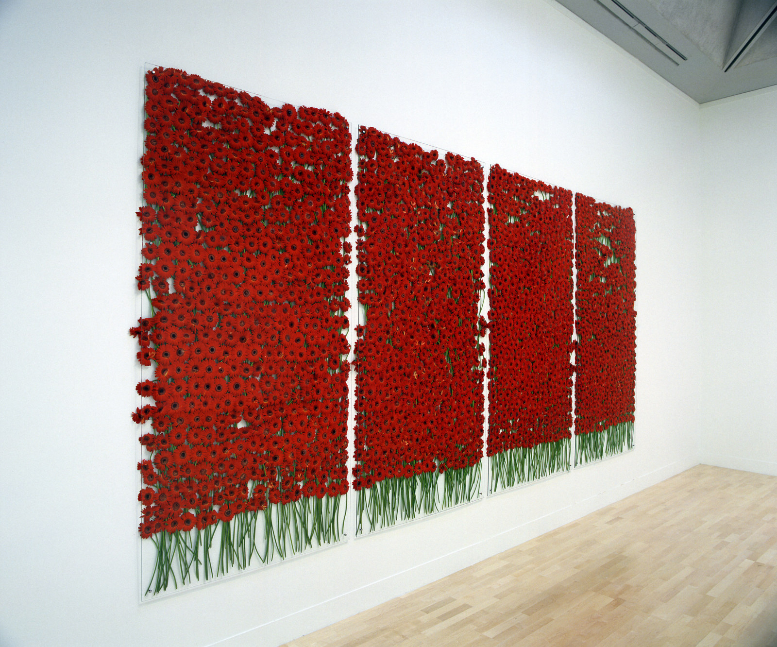 preserve &#039;beauty&#039;, 1991/2003