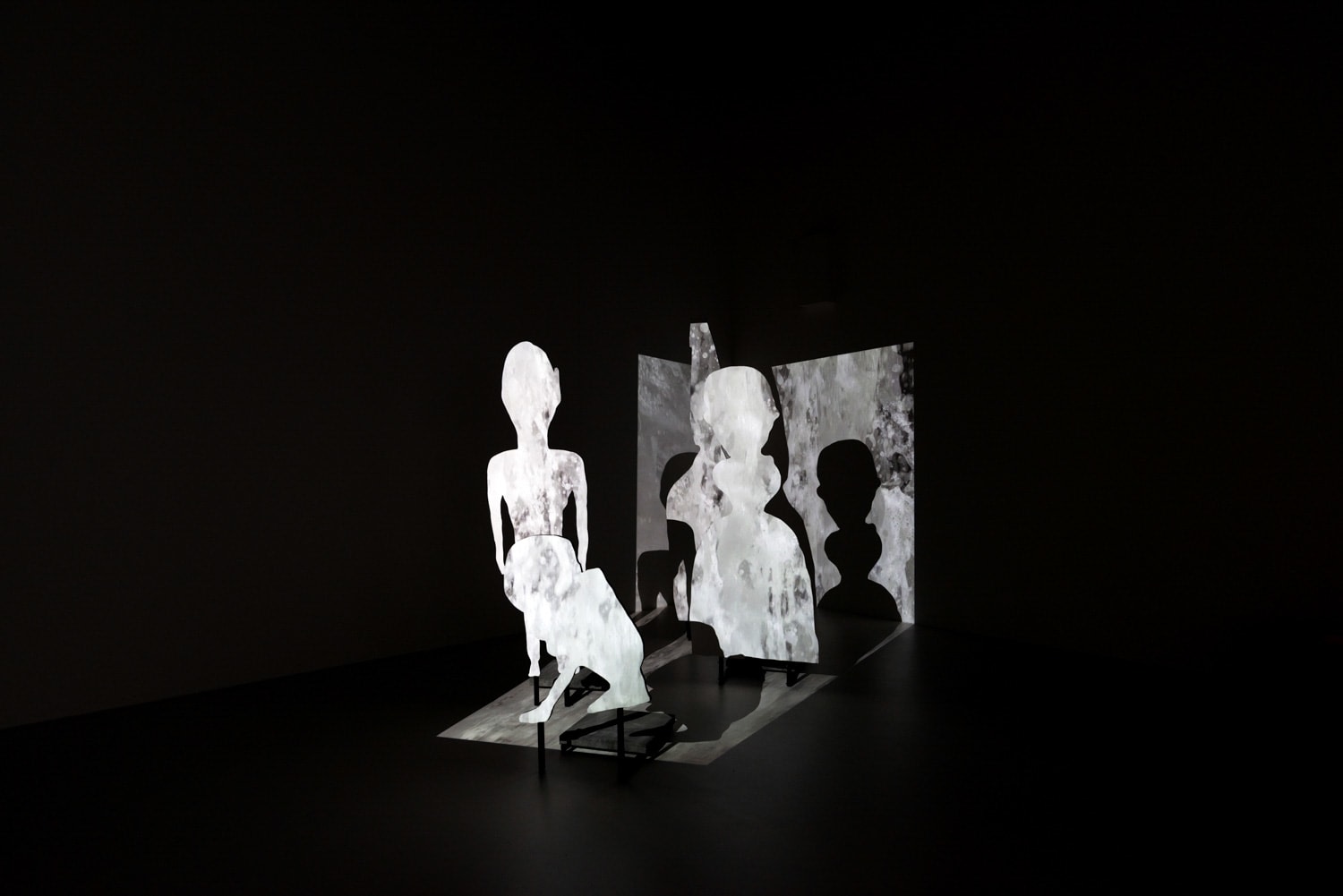 Tony Oursler: Anomalous, Installation View