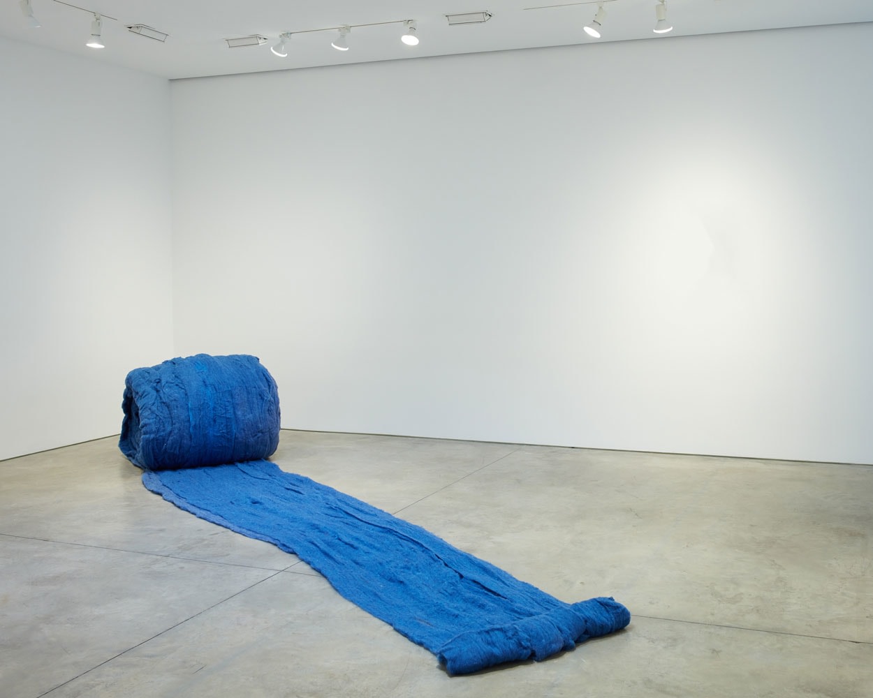 CECILIA VICUÑA Caracol Azul (Blue Snail), 2017