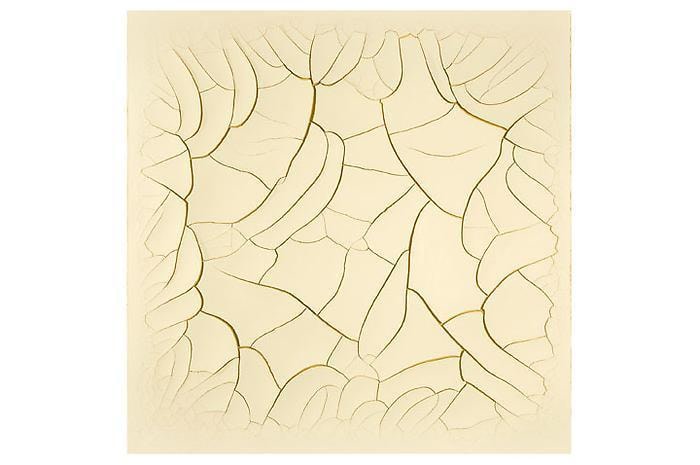 ADRIANA VAREJ&Atilde;O Monocromo cru # 3, 2010