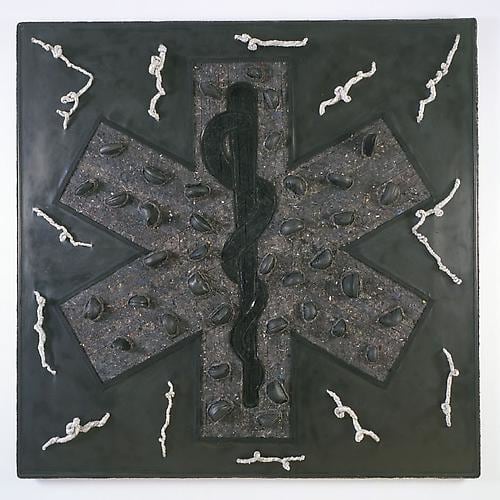 NARI WARD Star of life, 2010