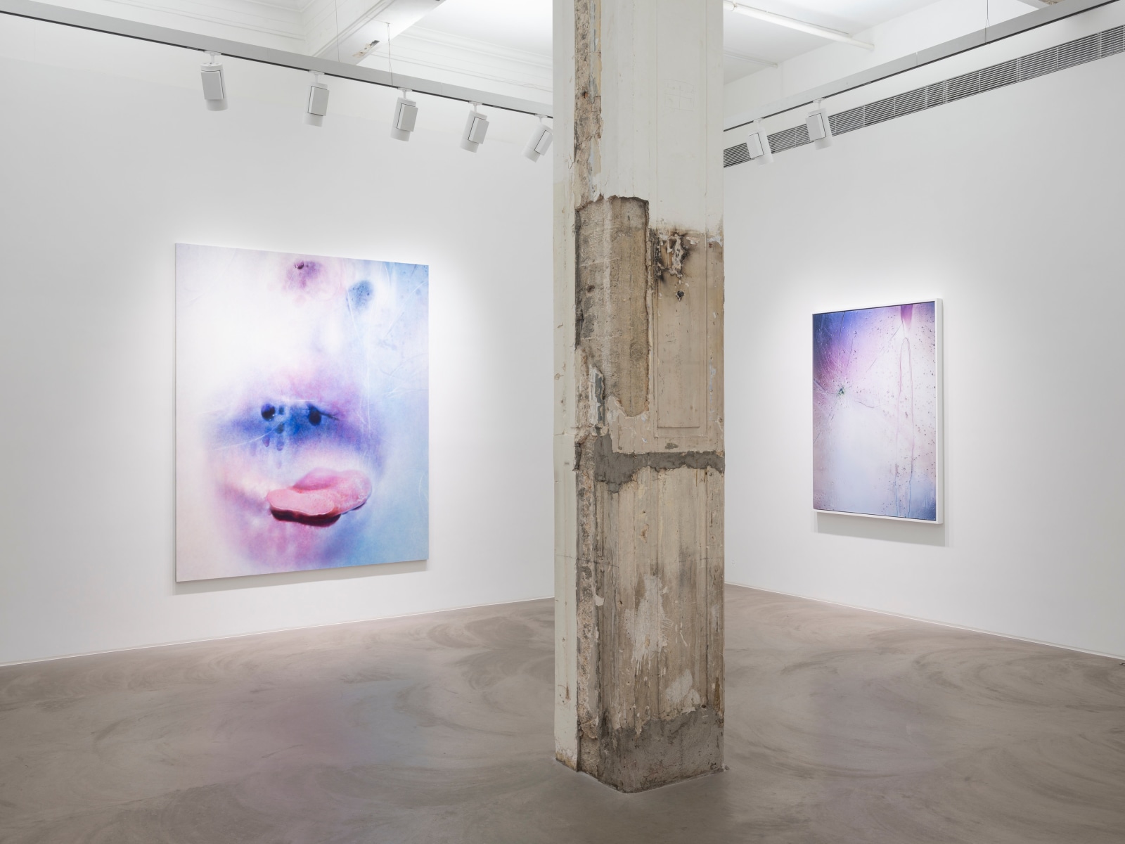 Marilyn Minter, Installation view, Lehmann Maupin, Hong Kong