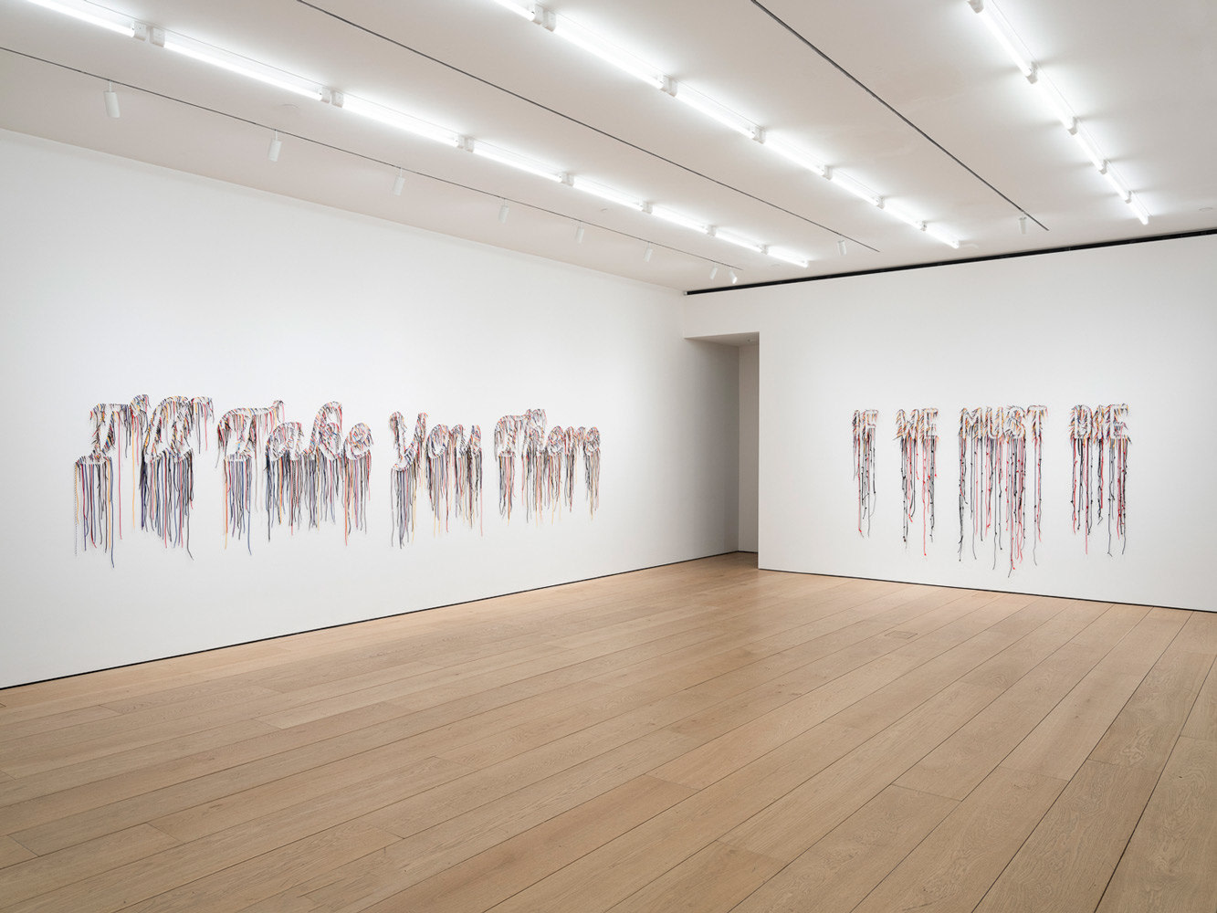 Nari Ward: I&rsquo;ll Take You There; A Proclamation, Installation view, New York