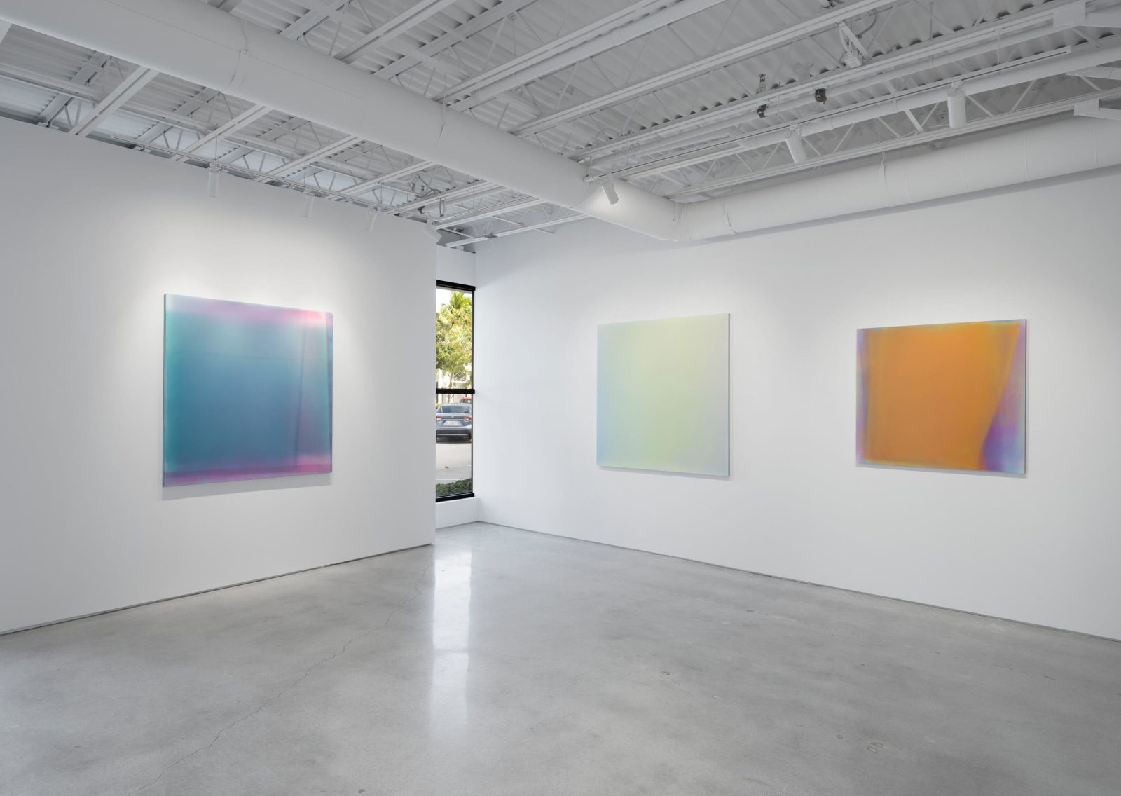 Kim Taek Sang: In Focus, Installation View, Palm Beach