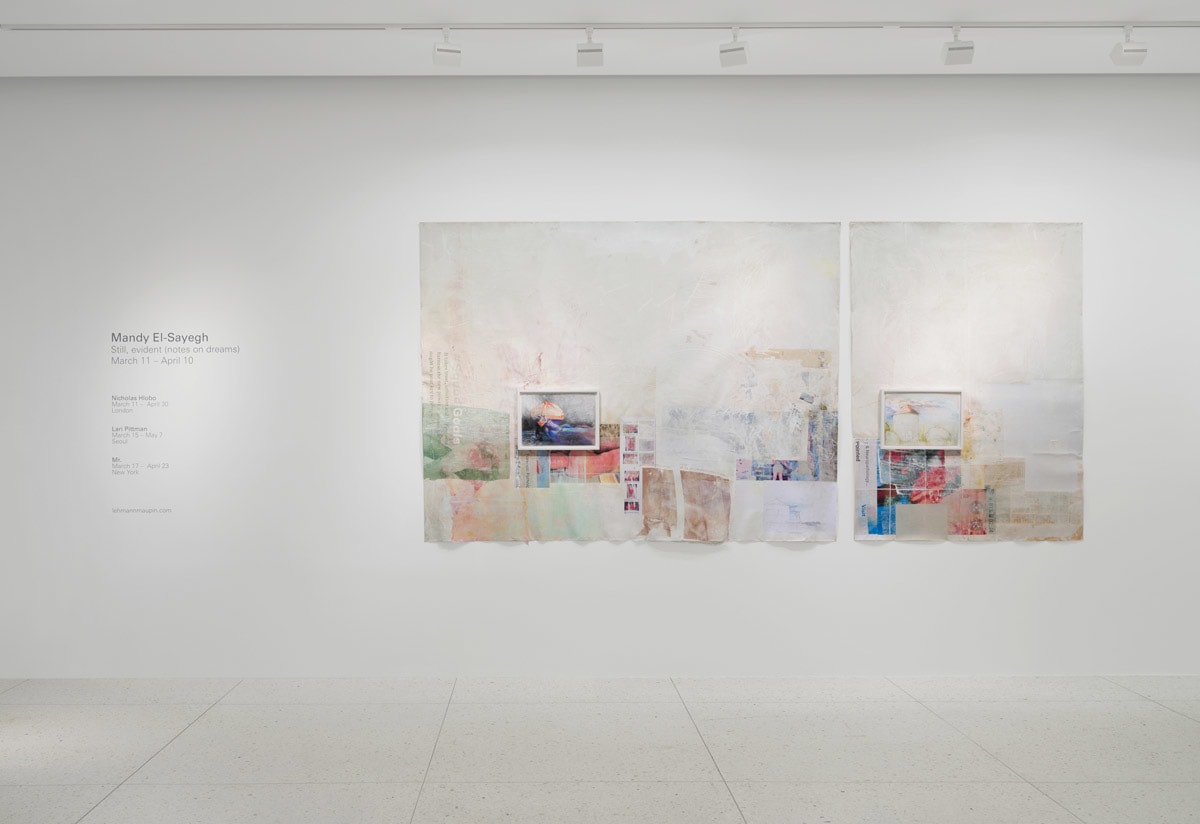 Mandy El-Sayegh:&nbsp;Still, evident (notes on dreams), Installation View, Palm Beach