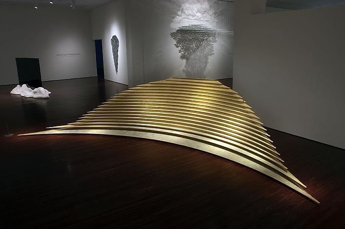 Teresita Fern&aacute;ndez Installation at the Blanton Museum of Art, 2009