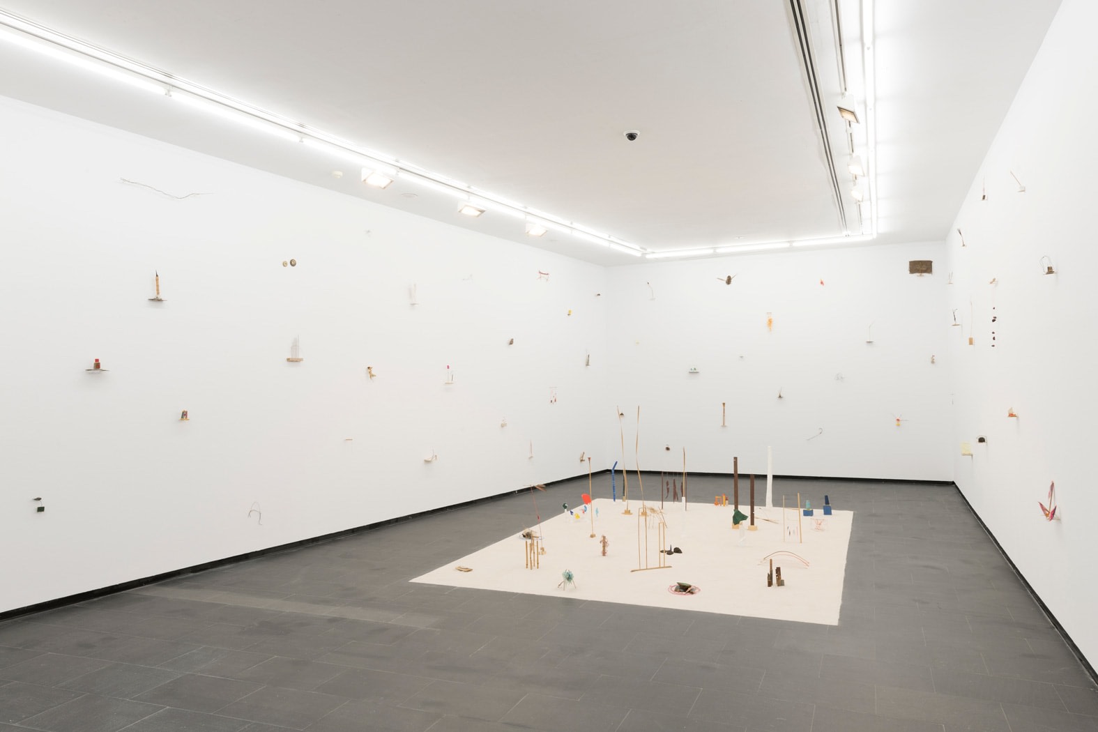 Cecilia Vicu&ntilde;a:&nbsp;Seehearing the Enlightened Failure, Installation view