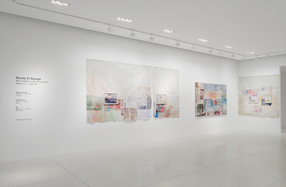 Mandy El-Sayegh:&nbsp;Still, evident (notes on dreams), Installation View, Palm Beach