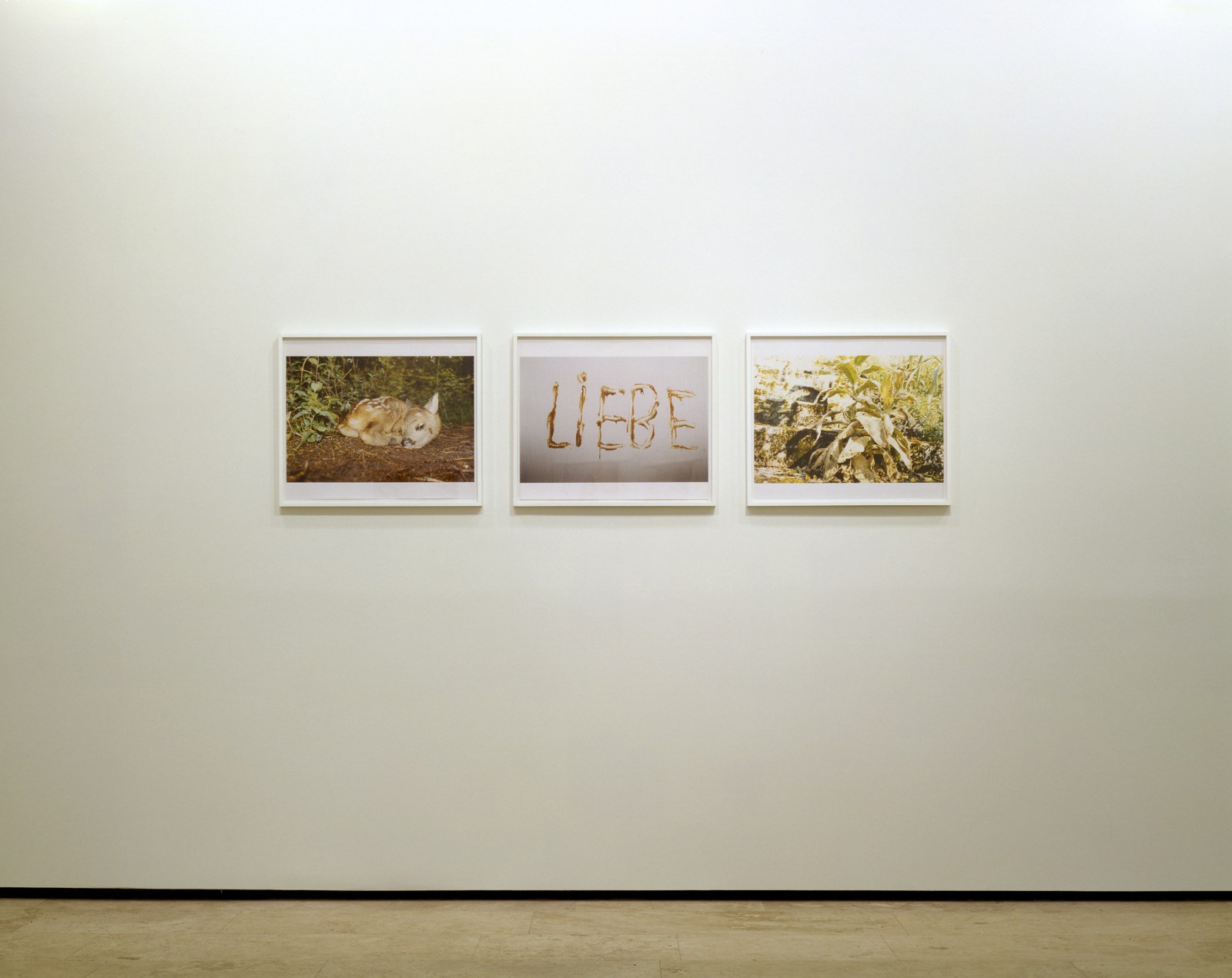 JUERGEN TELLER: N&Uuml;RNBERG Installation View 3.