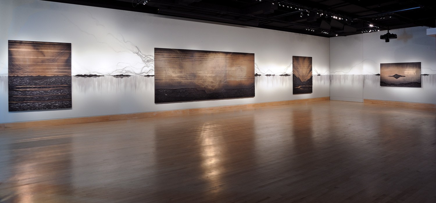 Teresita Fern&aacute;ndez: Dark Earth, Installation View