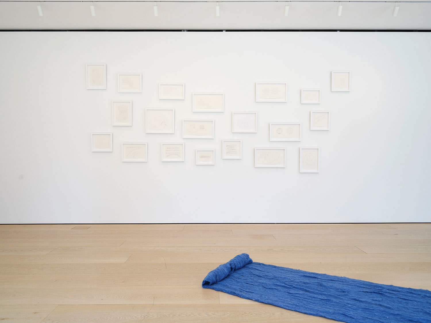 Cecilia Vicu&ntilde;a, Installation View, New York