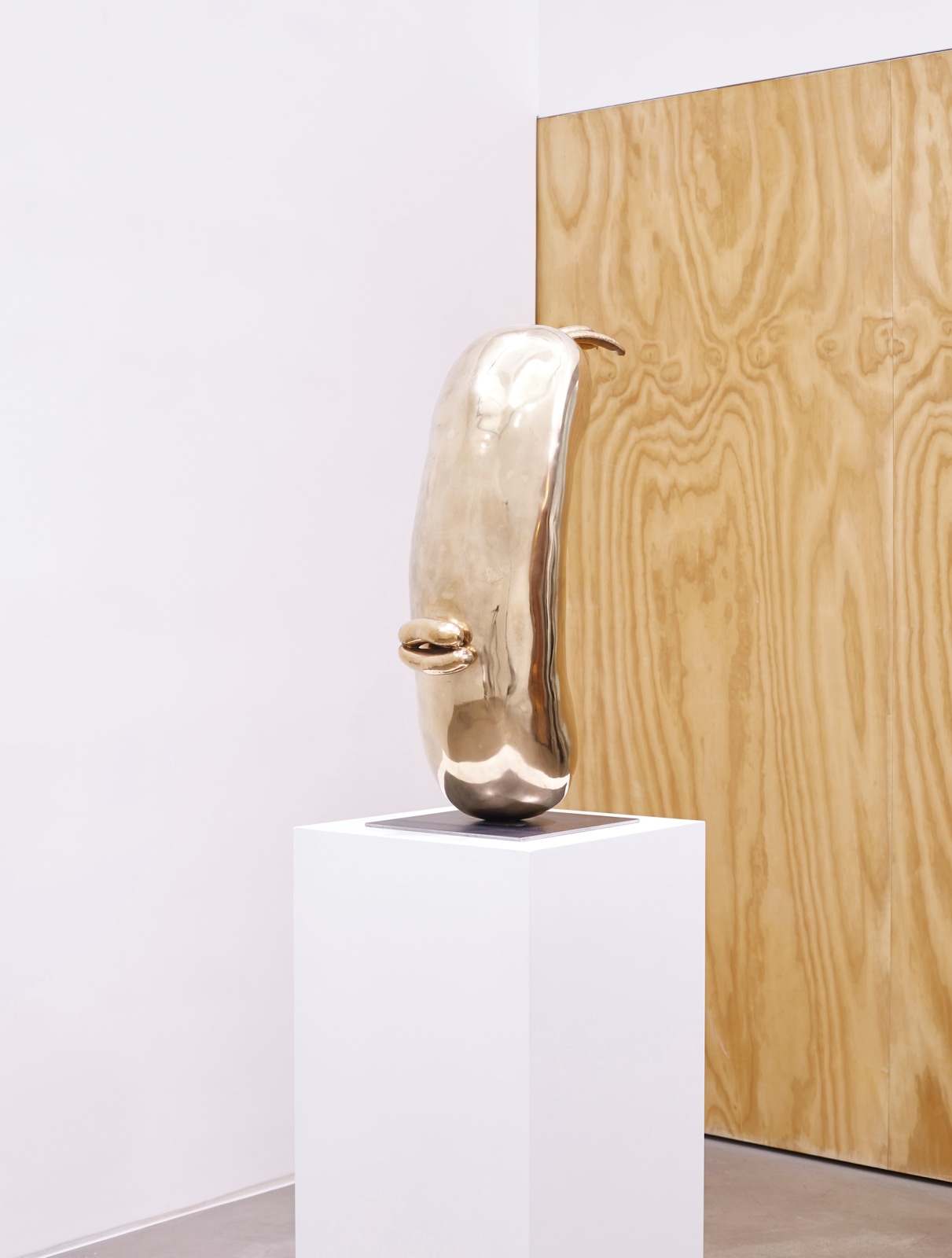 Erwin Wurm, Installation view, Lehmann Maupin, Hong Kong, 2019​