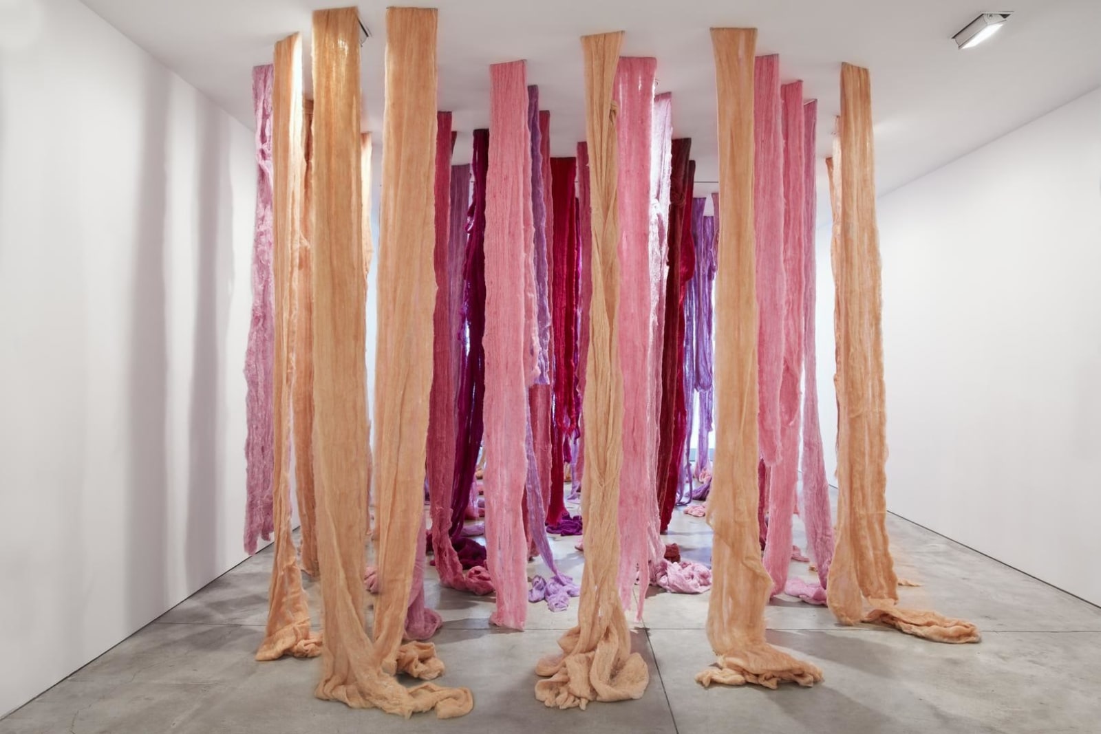 CECILIA VICU&Ntilde;A Quipu Viscera, 2017