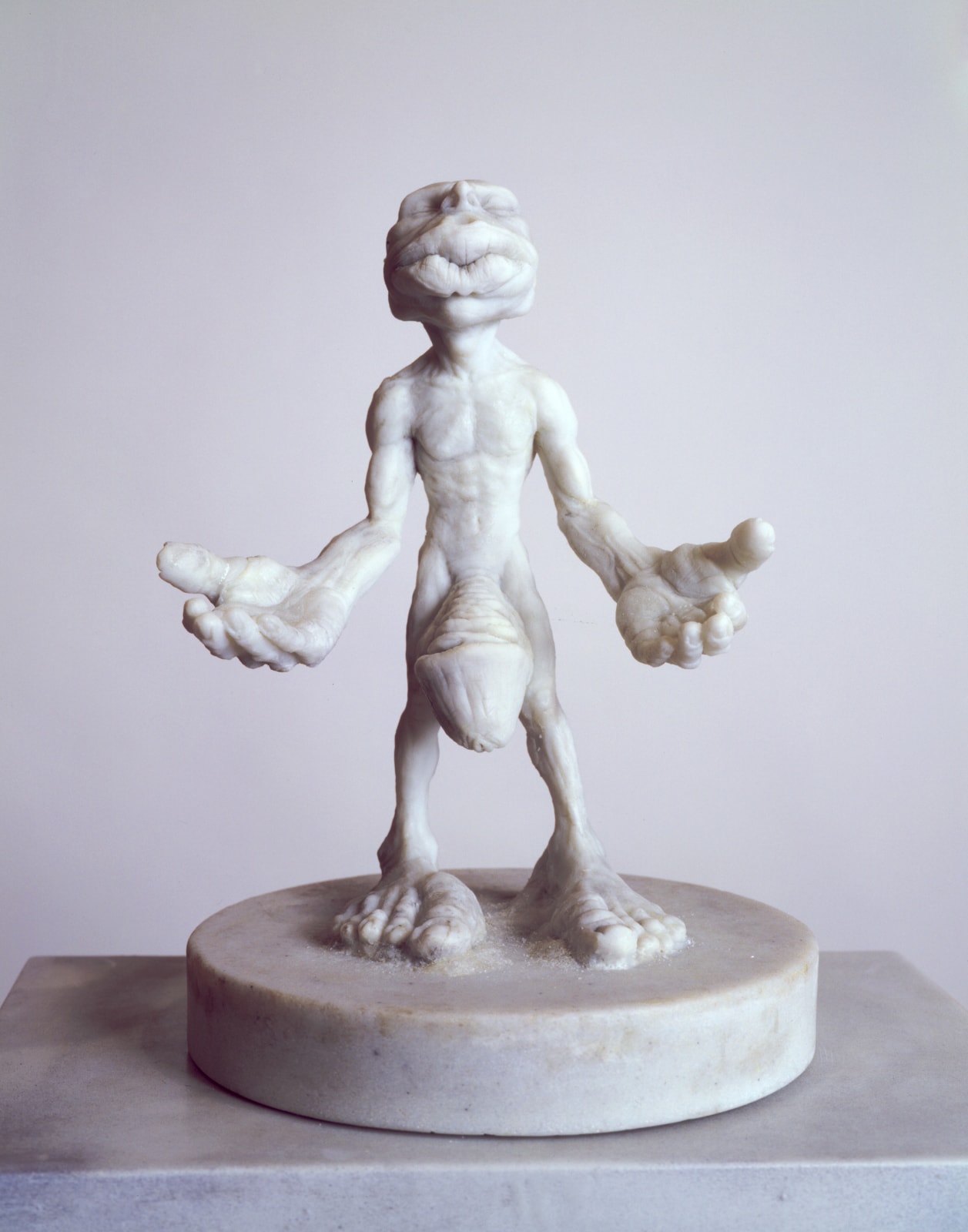 BRYAN CROCKETT, Somatosensory Homunculus, 2002