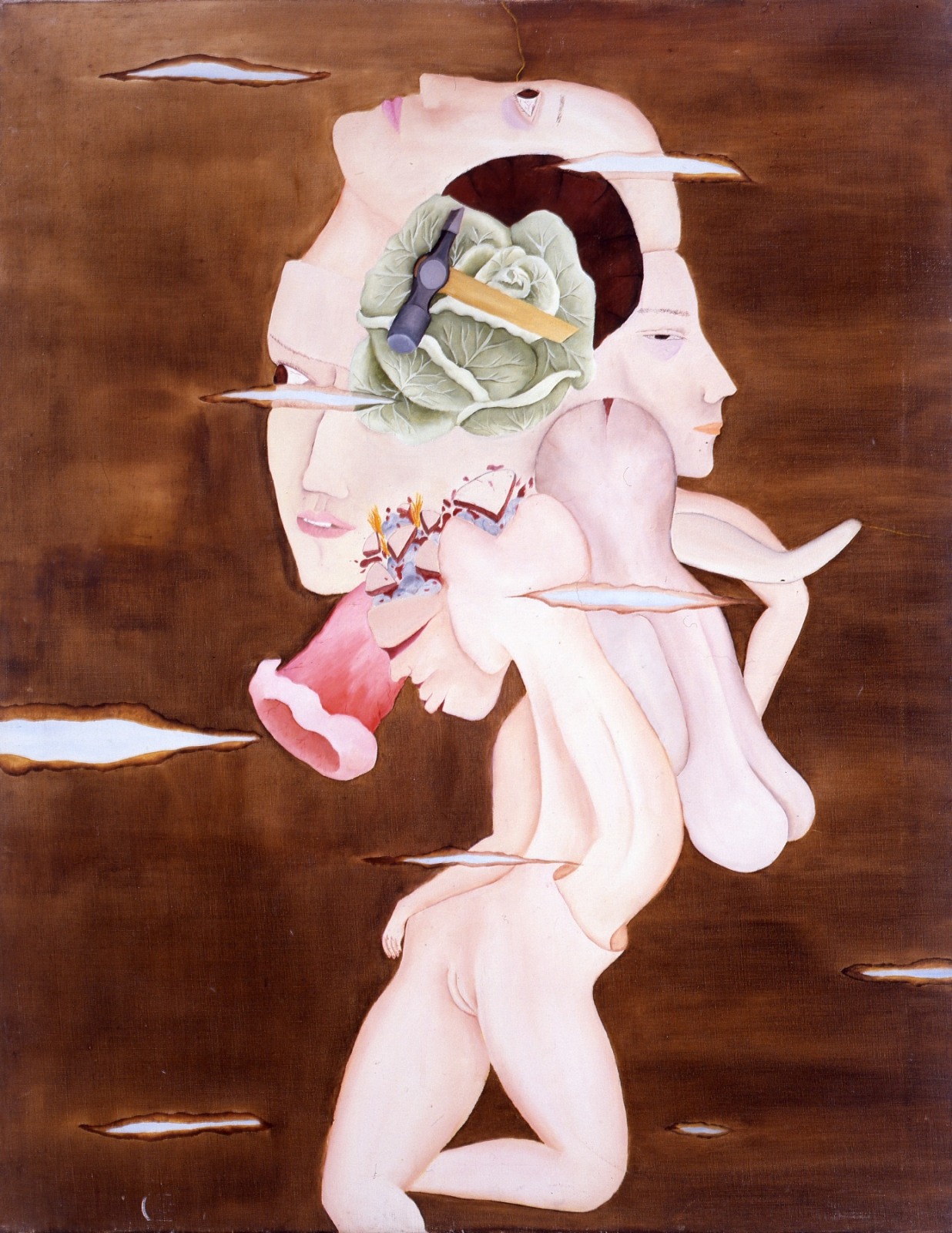 CECILIA VICU&Ntilde;A, Martillo y Repollo, 1973