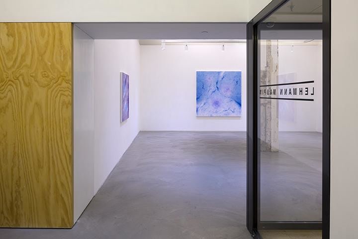 Shirazeh Houshiary: Through Mist Installation view 2