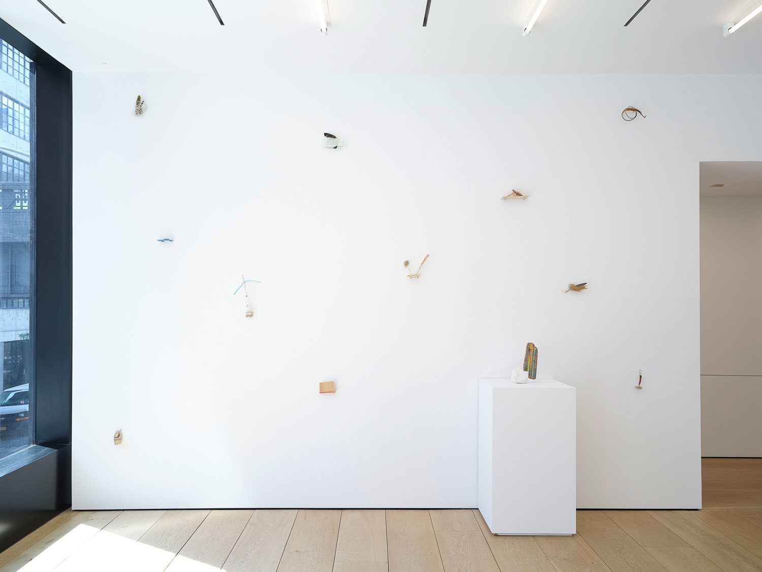 Cecilia Vicu&ntilde;a, Installation View, New York