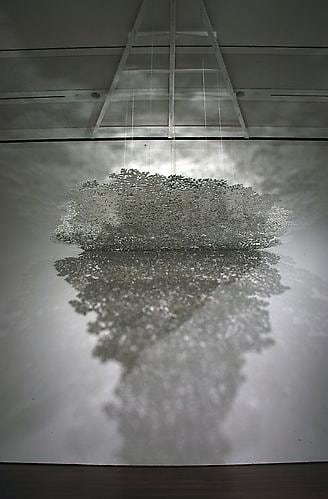 Teresita Fern&aacute;ndez Installation at the Blanton Museum of Art, 2009