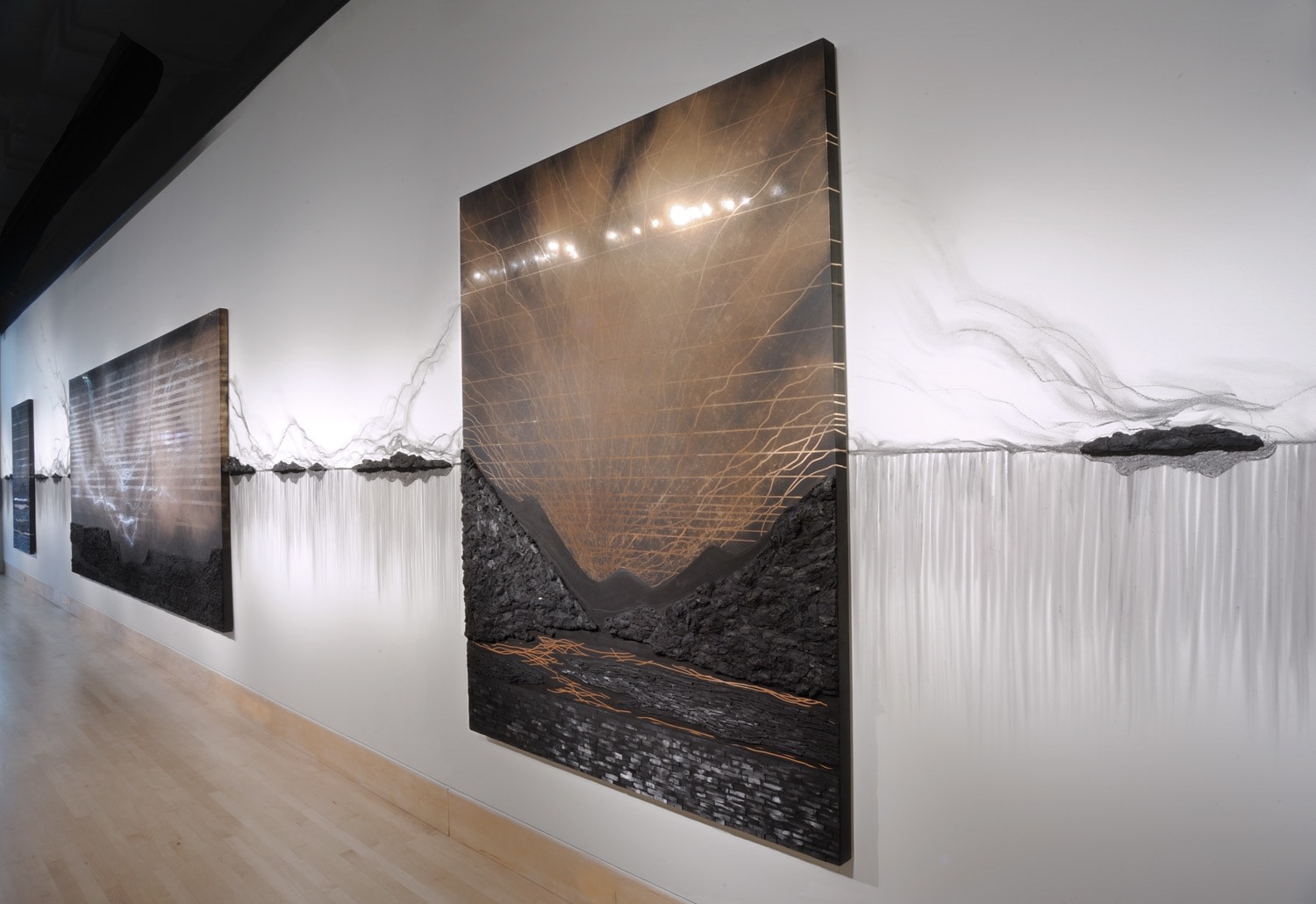 Teresita Fern&aacute;ndez: Dark Earth, Installation View