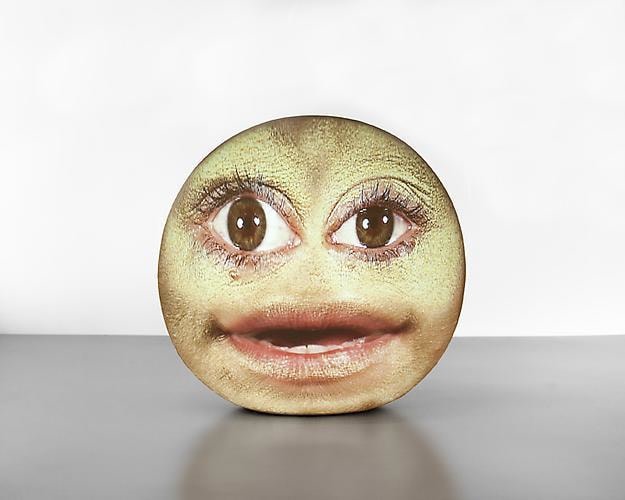 TONY OURSLER Soft 79, 2011