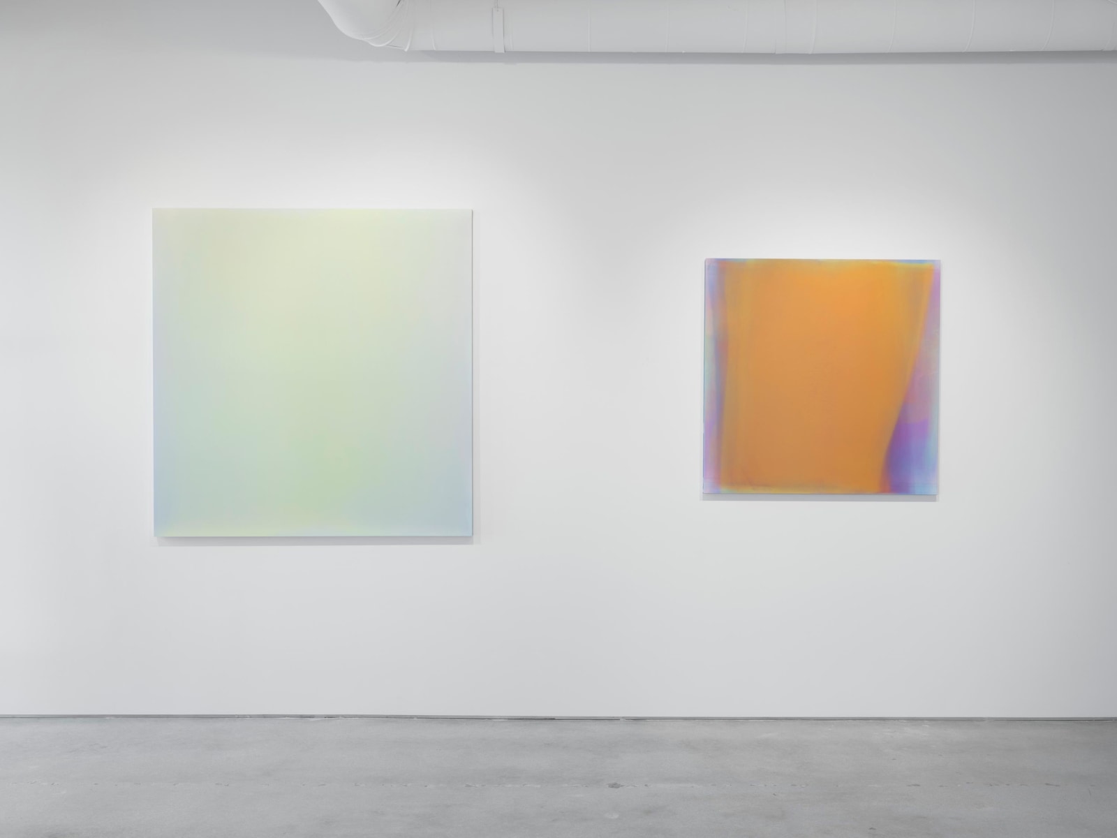 Kim Taek Sang: In Focus, Installation View, Palm Beach