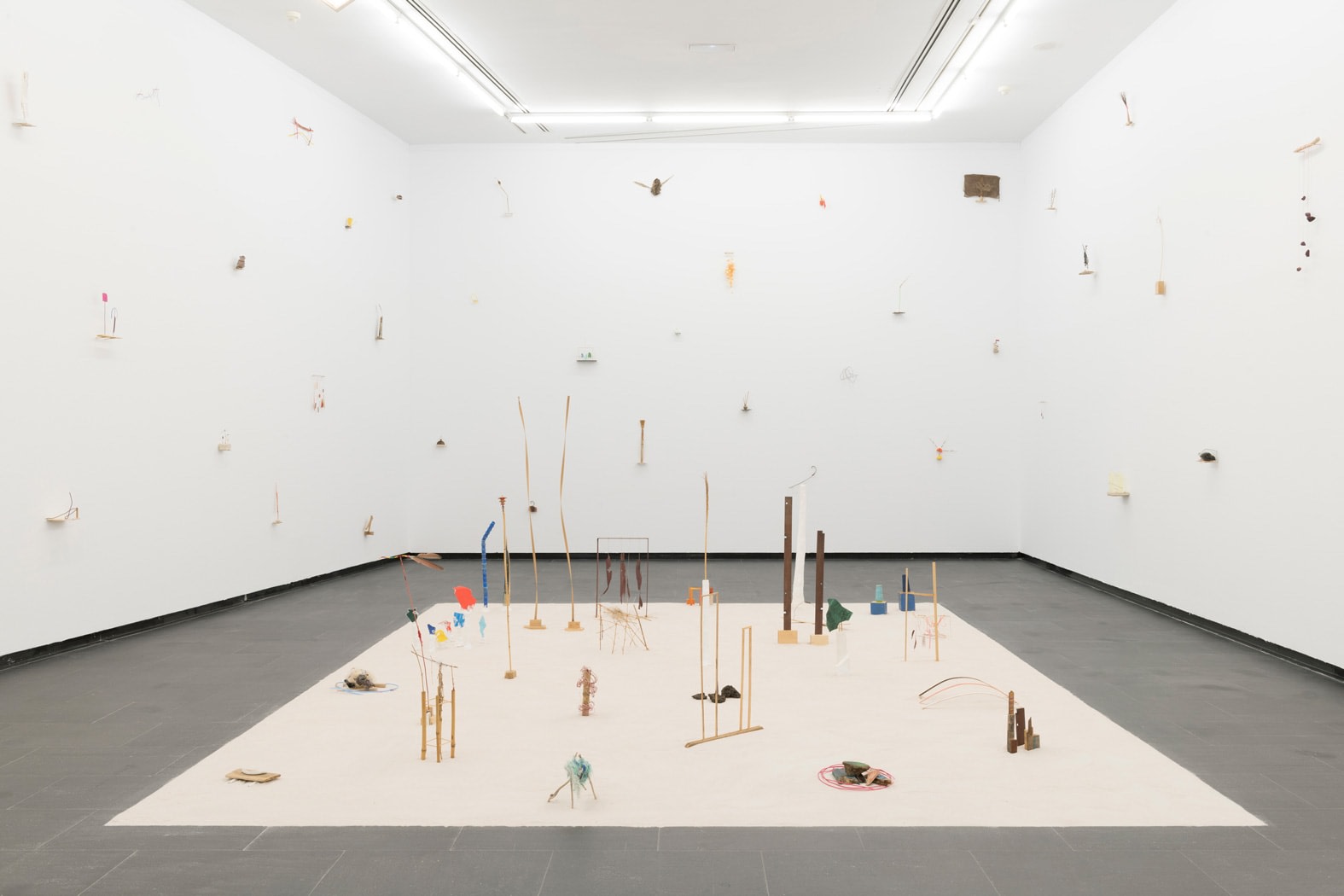 Cecilia Vicu&ntilde;a:&nbsp;Seehearing the Enlightened Failure, Installation view