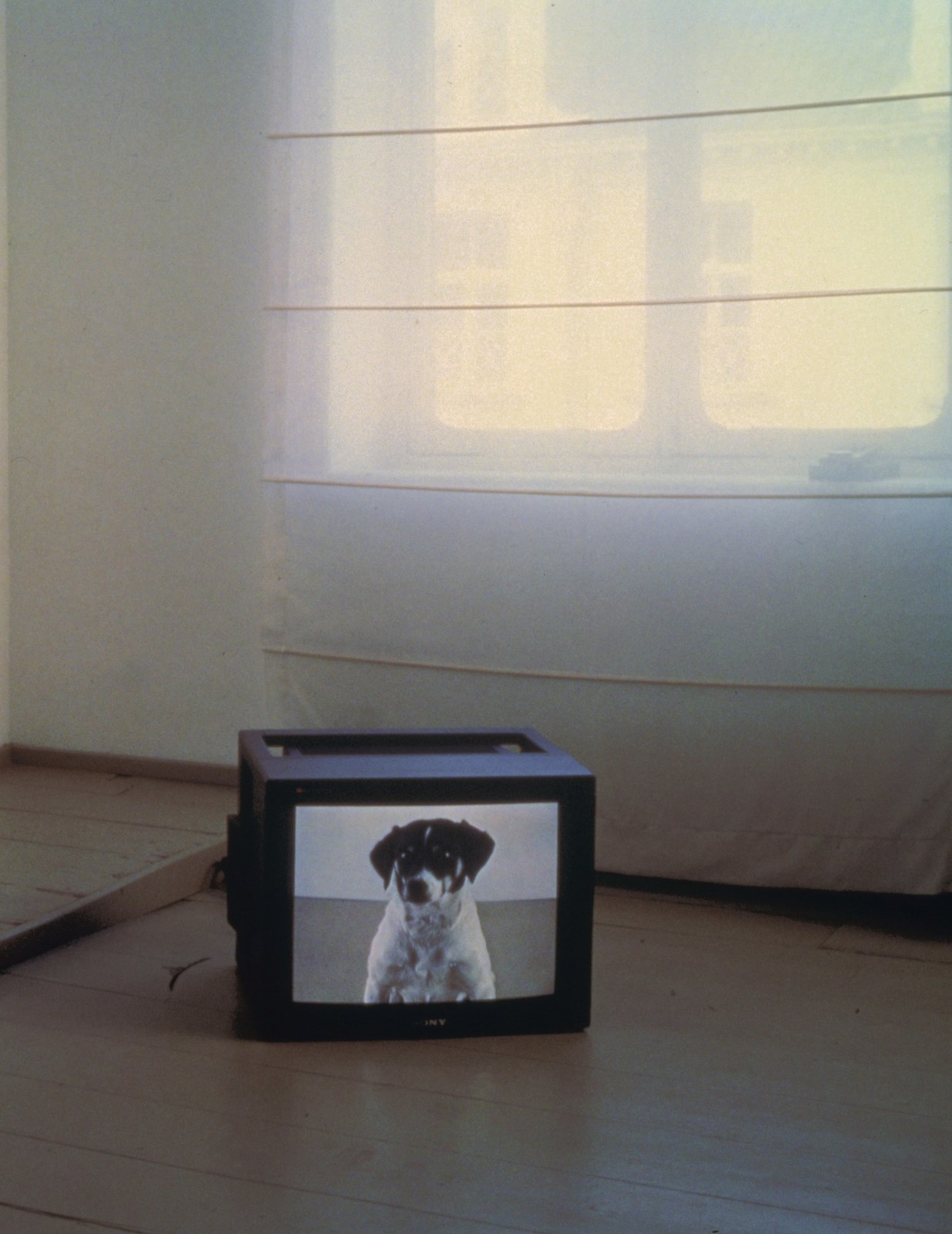 MARIE JOS&Eacute;&nbsp;BURKI, Les Chiens, 1994