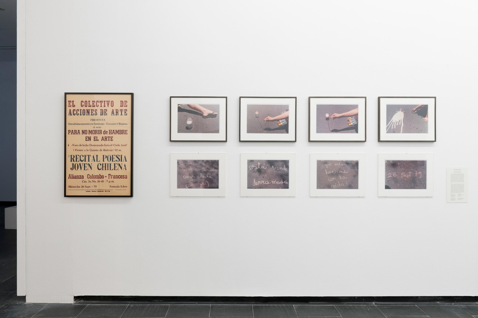 Cecilia Vicu&ntilde;a:&nbsp;Seehearing the Enlightened Failure, Installation view