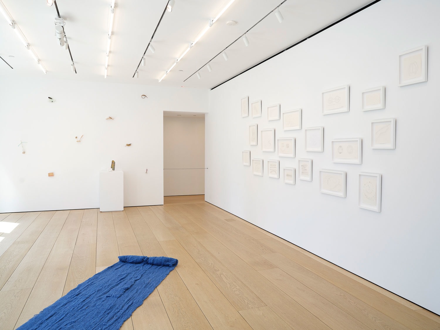 Cecilia Vicu&ntilde;a, Installation View, New York