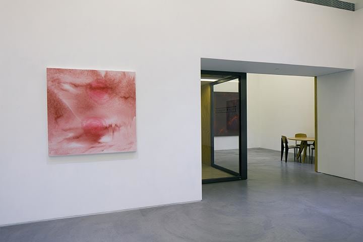 Shirazeh Houshiary: Through Mist Installation view 4