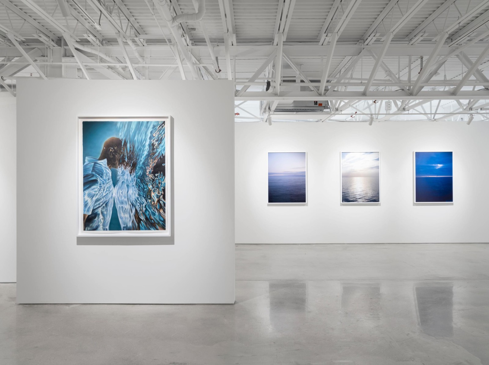 CURRENTS:&nbsp;Heidi Bucher, Dominic Chambers, Teresita Fern&aacute;ndez, Liza Lou, Marilyn Minter, Catherine Opie, Calida Rawles, and Robin Rhode, Installation view