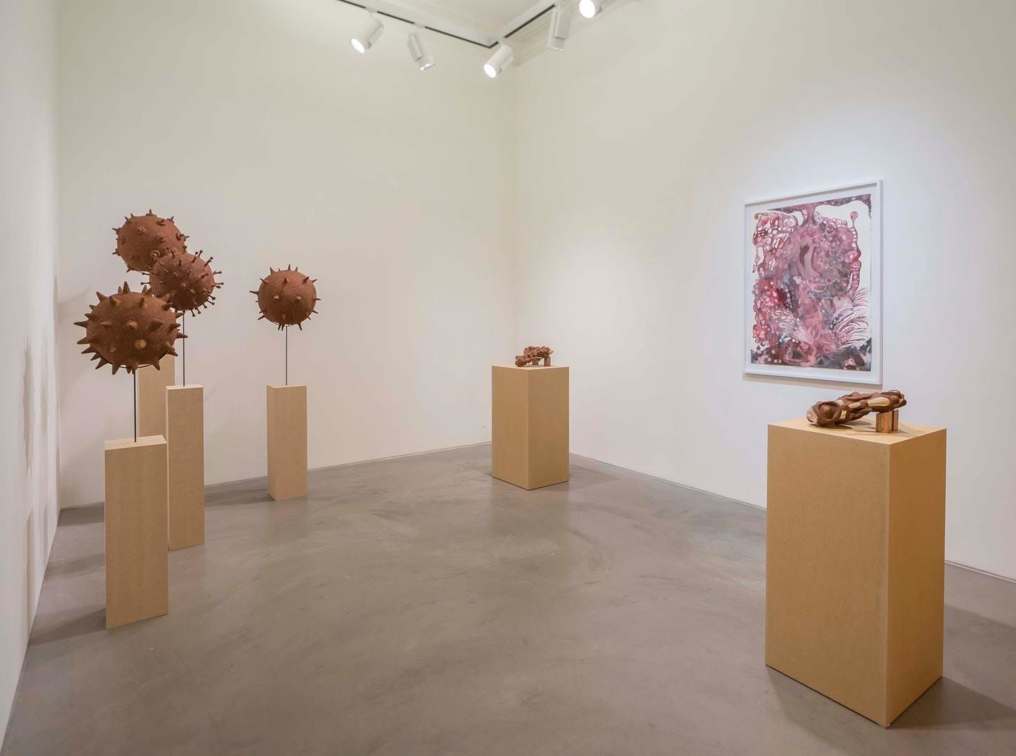 Wangechi Mutu Installation view 3