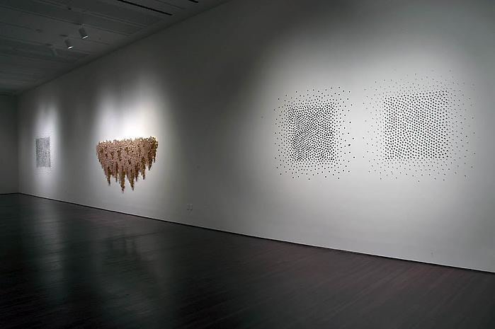 Teresita Fern&aacute;ndez Installation at the Blanton Museum of Art, 2009