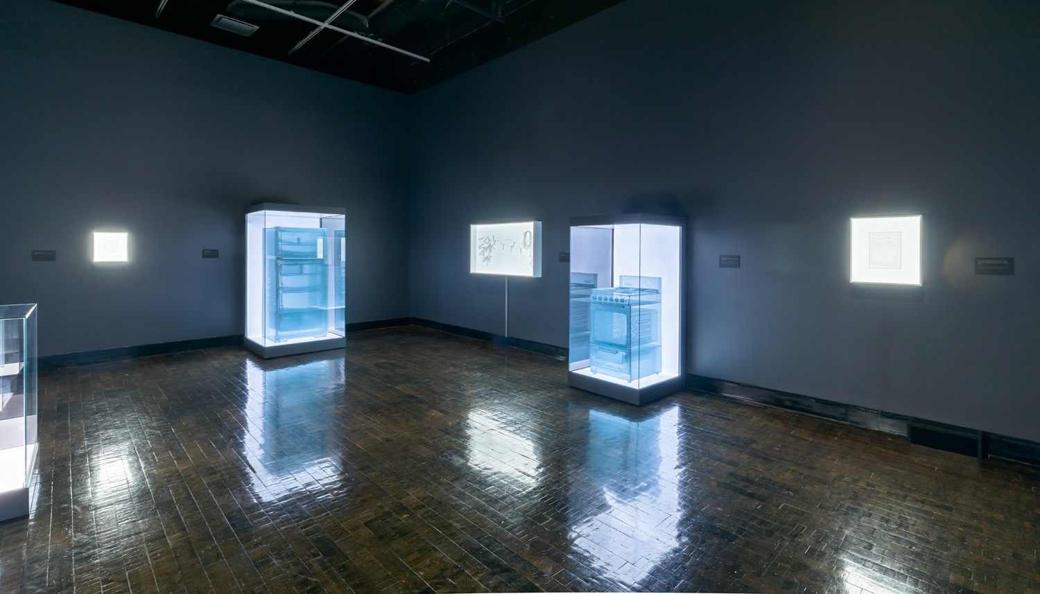 DO HO SUH, Installation view, Frist Art Museum,&nbsp;Do Ho Suh: Specimens, Oct. 12, 2018 - Jan. 6, 2019