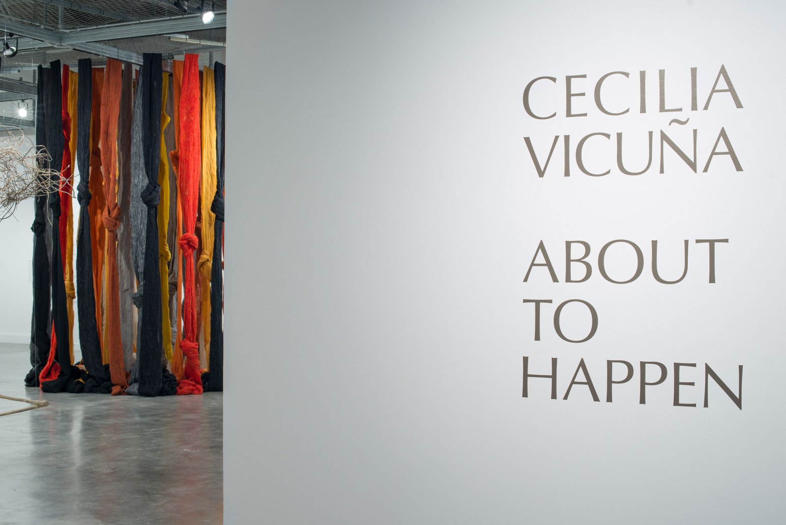 CECILIA VICU&Ntilde;A, About to Happen