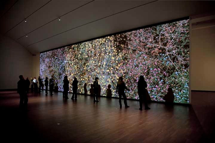  Installation view of Jennifer Steinkamp&#039;s &quot;Madame Curie&quot; at the Joslyn Art Museum, Omaha, NE, 2013