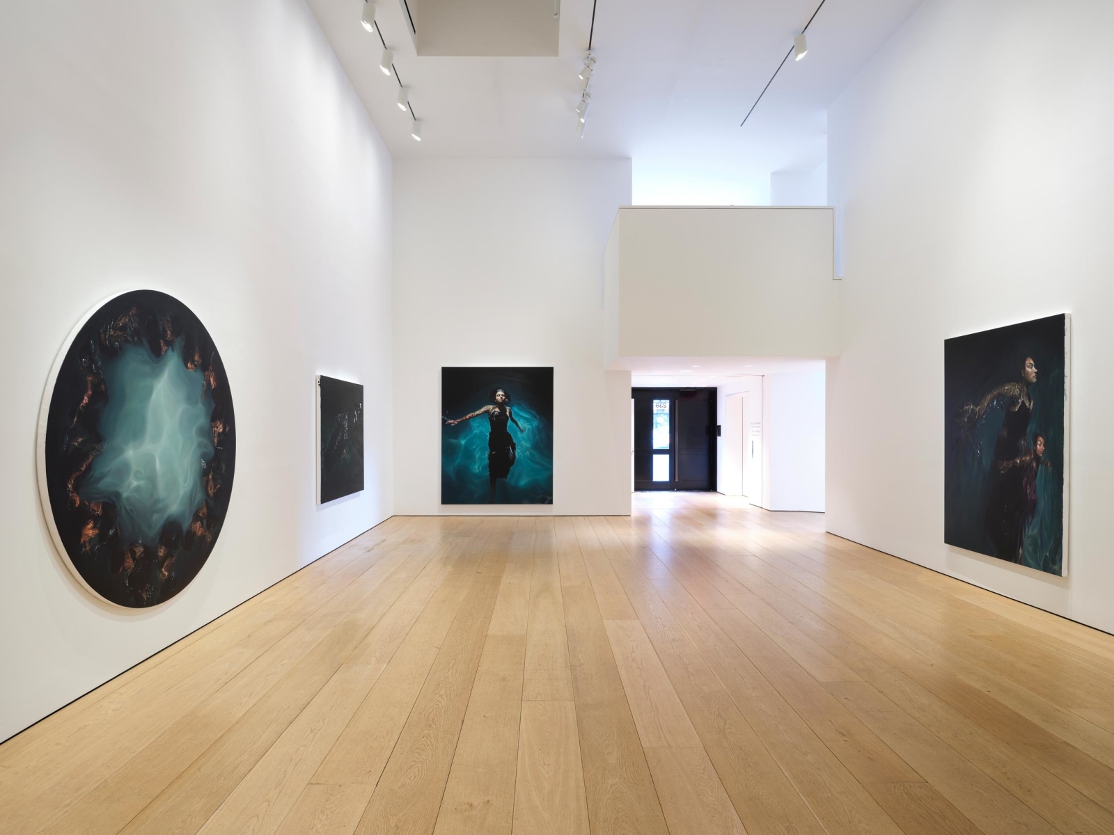 Calida Rawles:&nbsp;A Certain Oblivion, Installation View