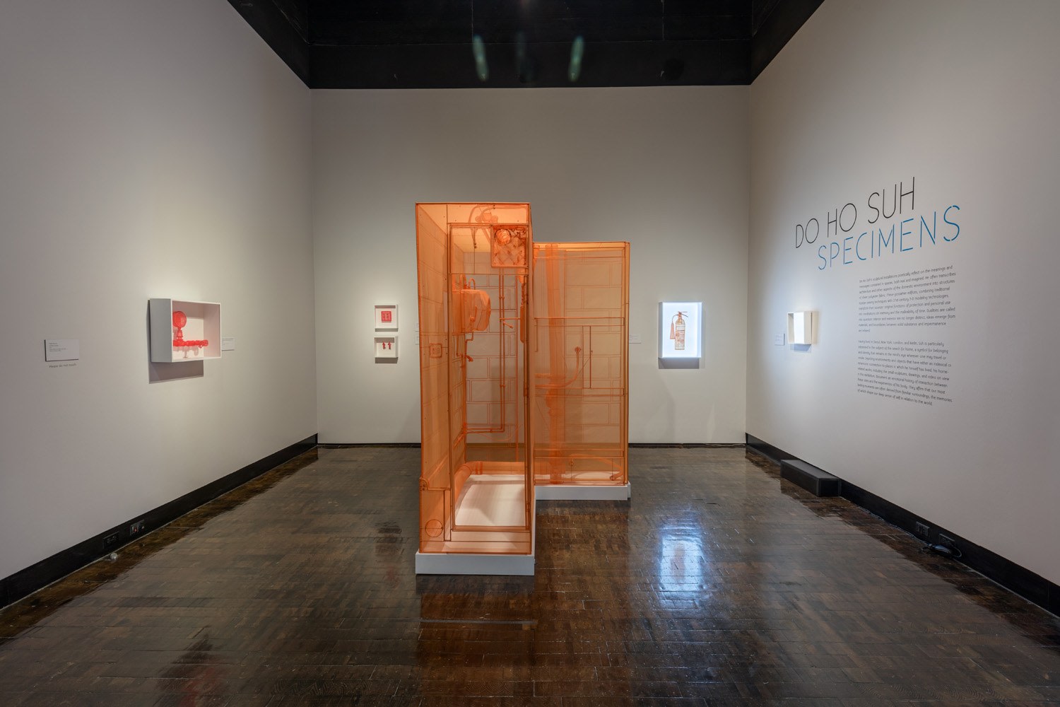 DO HO SUH, Installation view, Frist Art Museum,&nbsp;Do Ho Suh: Specimens, Oct. 12, 2018 - Jan. 6, 2019