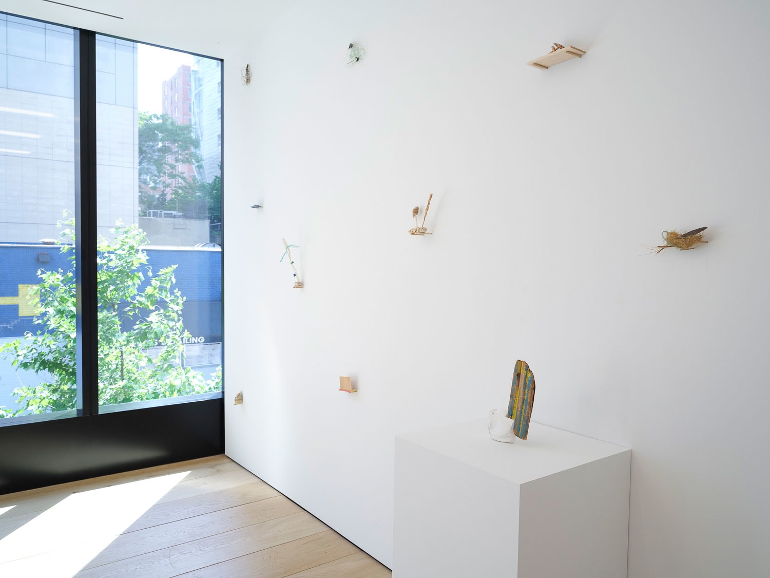 Cecilia Vicu&ntilde;a, Installation View, New York